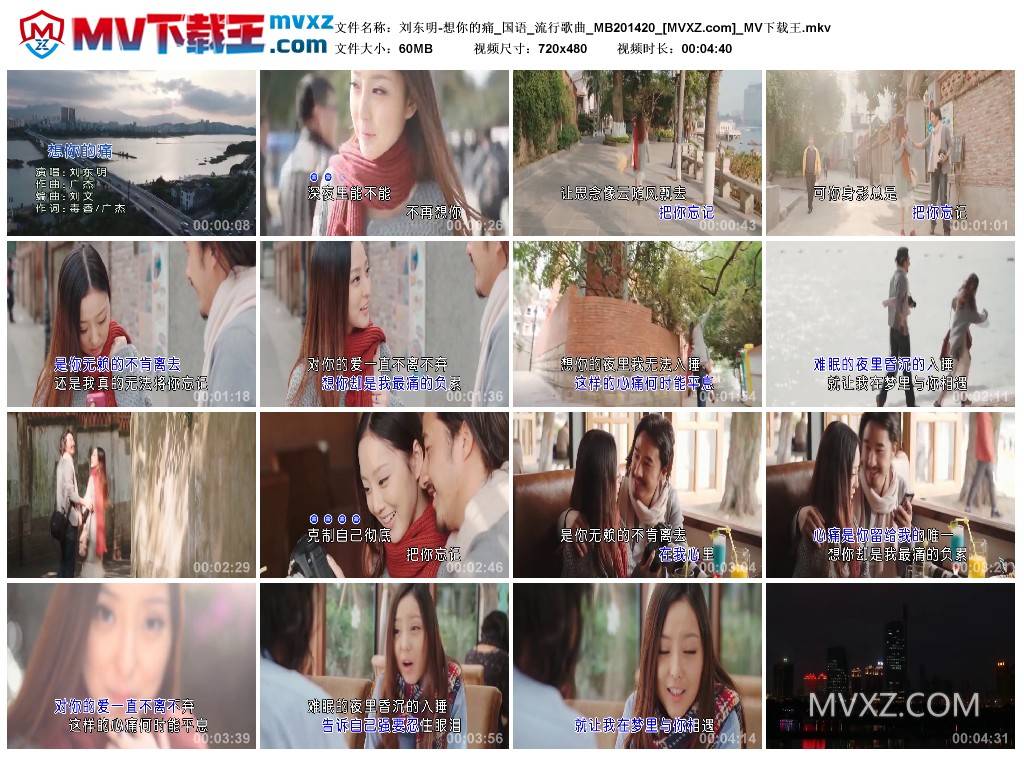 刘东明-想你的痛_国语_流行歌曲_MB201420